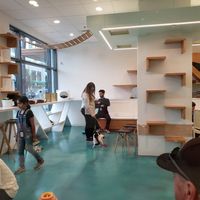 The cat play room at Regal Cat Cafe in Calgary
