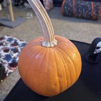  #Veganuary at Sacramento Natural Foods Co-op in Sacramento