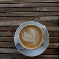  at Magnolia in Muenster