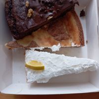  at Magnolia in Muenster