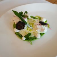 Vegetarisch:
Ziegenfrischkäse mit Baumnuss, Radieschen und Bärlauch at Wellness Hotel Roessli in Weggis