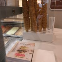 Veganista Buch at Veganista Ice Cream VII in Vienna