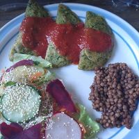  at Casa Savia Vegana in Merida