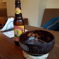 Ethiopian beer on a coconut at Djebena in The Hague