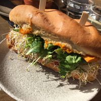 The veggie patch  at motherduck in Goolwa