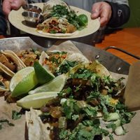 10 Tacos: Special Vegetable, and Miso Mushroom at Luna Red in San Luis Obispo
