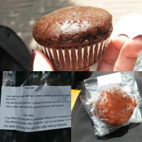 Vegan space brownie/muffin at Katsu in Amsterdam