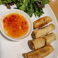 Spring rolls at Minh Sang Vegan in Beecroft