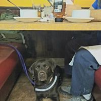 Malala loves a Vegan Diner ❤️ at Colony Diner in Wallingford