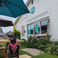 Outside with Rutabaga at GOOD Place in Wellington