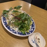 Fresh crispy veggies   at Pho 33 in South Salt Lake