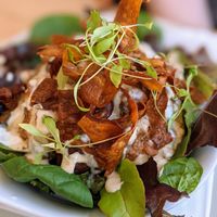 Dirty falafel at The Sly Fox in Edinburgh