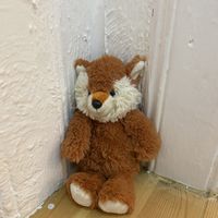 A sly fox in the bathroom! at The Sly Fox in Edinburgh