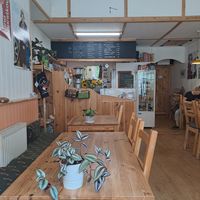  at The Sly Fox in Edinburgh