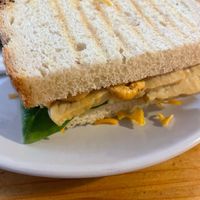 Tempeh and cheese toasted sandwich   at The Sly Fox in Edinburgh