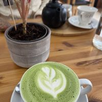   at The Sly Fox in Edinburgh