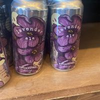   at 3 Dot Dash in Tampa