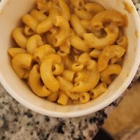  at 3 Dot Dash in Tampa