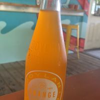   at 3 Dot Dash in Tampa