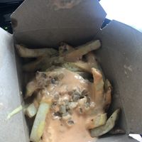 No animal fries at 3 Dot Dash in Tampa