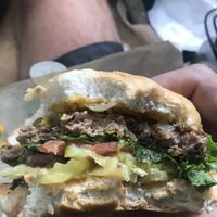 Mustard tiger at 3 Dot Dash in Tampa