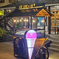 Wafflecreamery premium vegan ice cream cart Sri Lanka - the doctor's house  at The Doctor's House in Matara