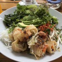 Reisnudel Bowl mit veganen Spring Rolls at Café Tinki in Neuss