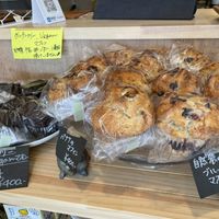 All vegan.🌱 at Kitchen Akimo in Seki