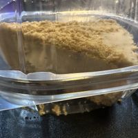   at ITSO Vegan in Grand Prairie