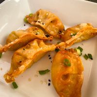 Fried gyozas at Temari Sushi in Willemstad