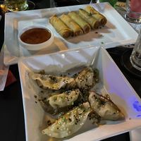 Springrolls and dumplings at Temari Sushi in Willemstad