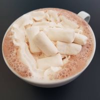 Vegan hot chocolate with whipped cream and marshmallows at Delivore in Stockholm