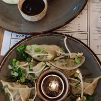 Vegan dumplings at Hills Dumplings in Helsinki