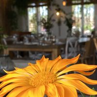   at Wild Cafe in Estepona