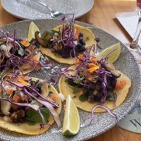 Vegan Taco’s   at Wild Cafe in Estepona