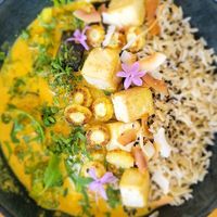  at Wild Cafe in Estepona