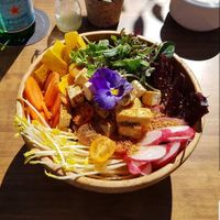 Delicious bowl of food! at Wild Cafe in Estepona