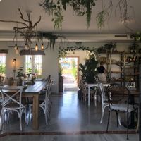 Interior at Wild Cafe in Estepona