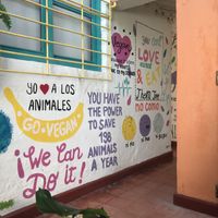 Decoration at VEGAN GARDEN in Barranquilla