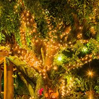 Fairy lights at night.
 at 7 Sisters Restaurant in Bagan