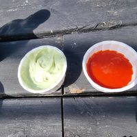  at The Blue Bell in Conwy