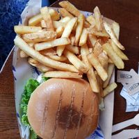  at The Blue Bell in Conwy