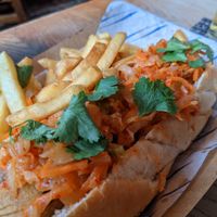 K dog at The Blue Bell in Conwy