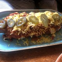 Qotsa dog   at The Blue Bell in Conwy