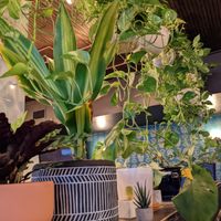 Interior of the restaurant at Espíritu in New Orleans