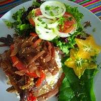 Pine Mushrooms at Pachamama Health in Veracruz