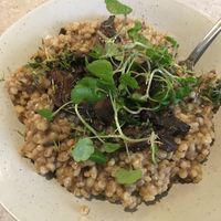 Vegansk 'svampebygotto’ at GRØD in Aarhus