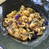 Veganized Corn Orecchiette   at Flora Farms in San Jose Del Cabo