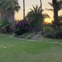 Sunset at Flora Farms  at Flora Farms in San Jose Del Cabo