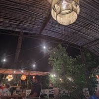 Pretty setting at Flora Farms in San Jose Del Cabo